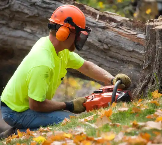 tree services Lamberton